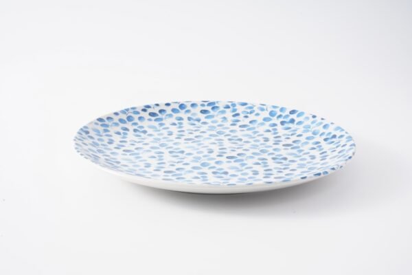 Blue Dots Floral Ceramic Dinner Set - 图片 6