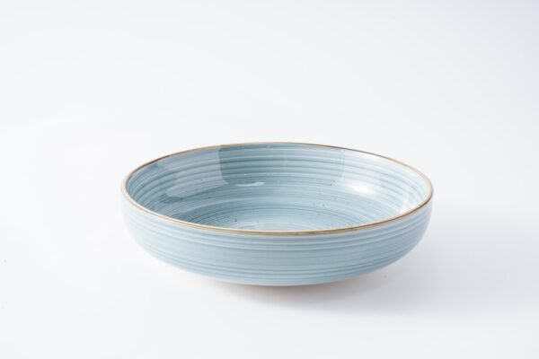 Elegant Hand-Painted Ceramic Dinnerware with Gold Rim - 图片 7